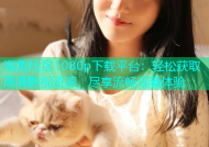 海角社区1080p下载平台：轻松获取高清影视资源，尽享流畅观看体验