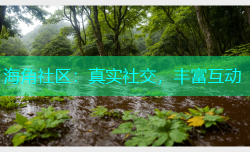海角社区：真实社交，丰富互动
