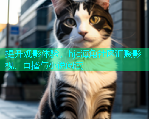 提升观影体验，hjc海角社区汇聚影视、直播与小说阅读  第2张