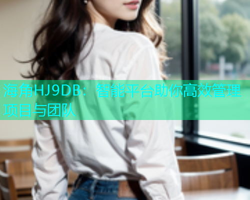 海角HJ9DB：智能平台助你高效管理项目与团队  第1张