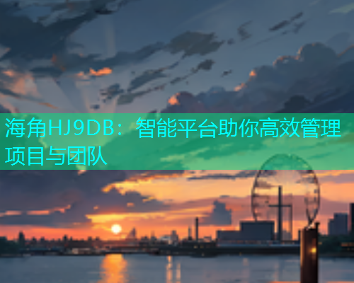 海角HJ9DB：智能平台助你高效管理项目与团队  第2张