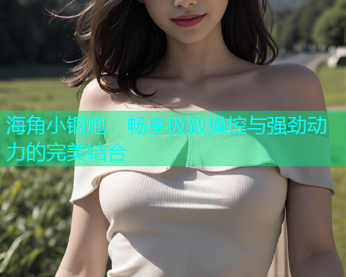 海角小钢炮：畅享极致操控与强劲动力的完美结合  第1张