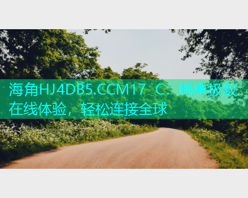 海角HJ4DB5.CCM17 C：畅享极致在线体验，轻松连接全球  第1张