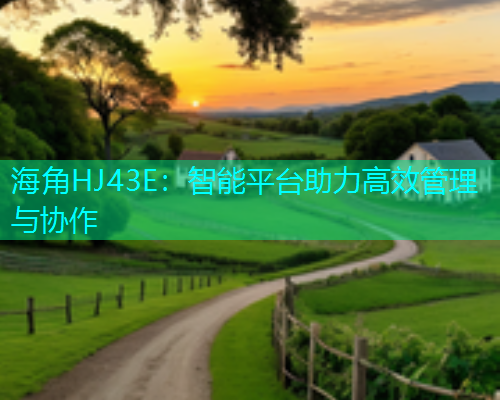 海角HJ43E：智能平台助力高效管理与协作  第2张