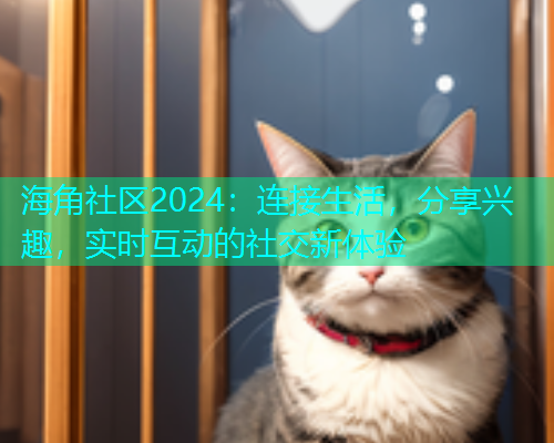 海角社区2024：连接生活，分享兴趣，实时互动的社交新体验  第1张