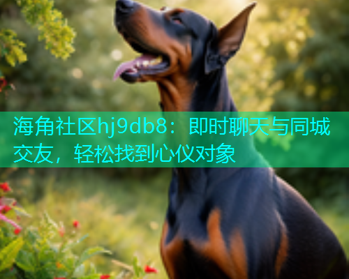 海角社区hj9db8：即时聊天与同城交友，轻松找到心仪对象  第1张