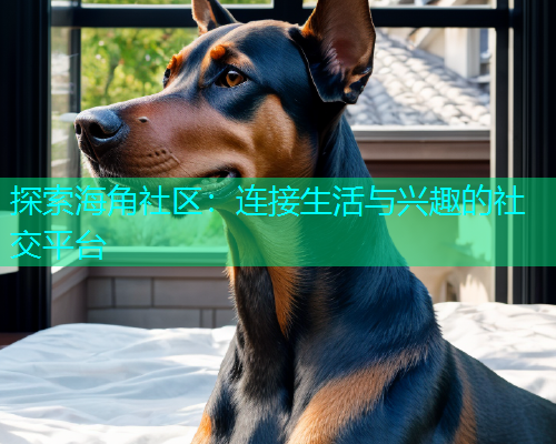 探索海角社区：连接生活与兴趣的社交平台  第1张