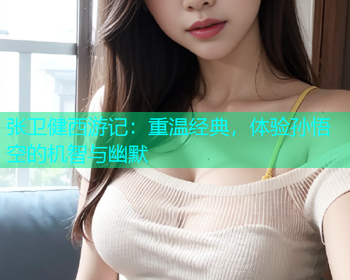 张卫健西游记：重温经典，体验孙悟空的机智与幽默  第1张