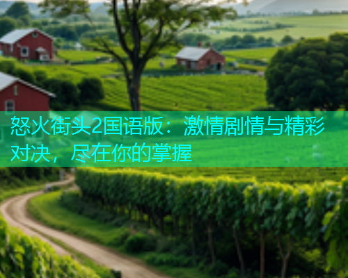 怒火街头2国语版：激情剧情与精彩对决，尽在你的掌握  第1张