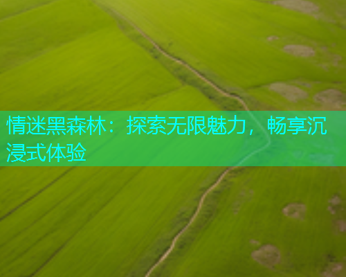 情迷黑森林：探索无限魅力，畅享沉浸式体验  第1张