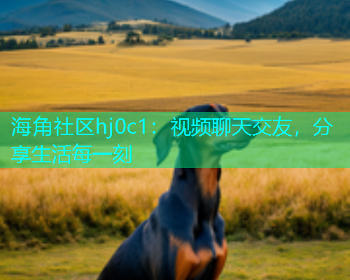 海角社区hj0c1：视频聊天交友，分享生活每一刻  第1张