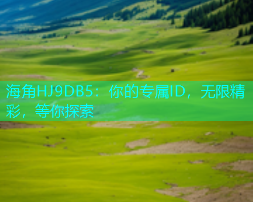海角HJ9DB5：你的专属ID，无限精彩，等你探索  第1张