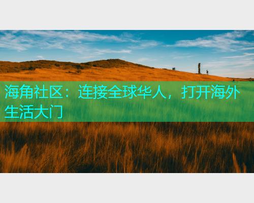 海角社区：连接全球华人，打开海外生活大门  第2张