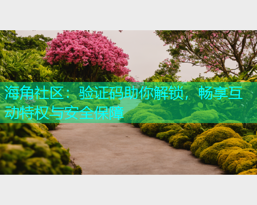 海角社区：验证码助你解锁，畅享互动特权与安全保障  第1张