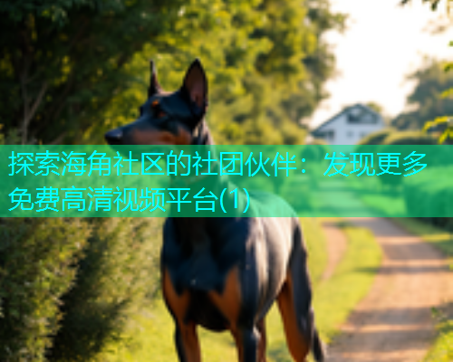 探索海角社区的社团伙伴：发现更多免费高清视频平台(1)  第1张