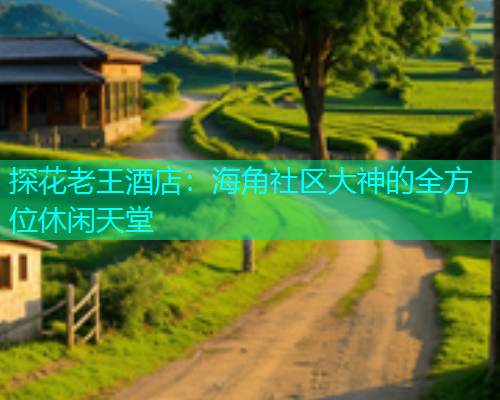 探花老王酒店：海角社区大神的全方位休闲天堂  第1张