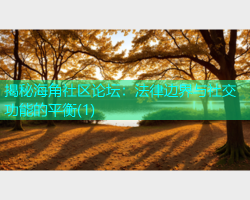揭秘海角社区论坛：法律边界与社交功能的平衡(1)  第1张