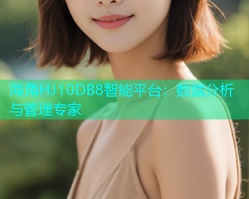 海角HJ10DB8智能平台：数据分析与管理专家  第1张