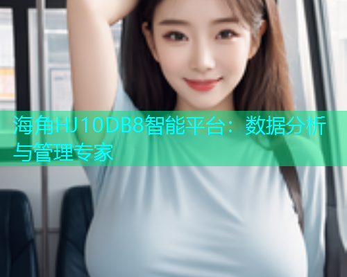 海角HJ10DB8智能平台：数据分析与管理专家  第2张