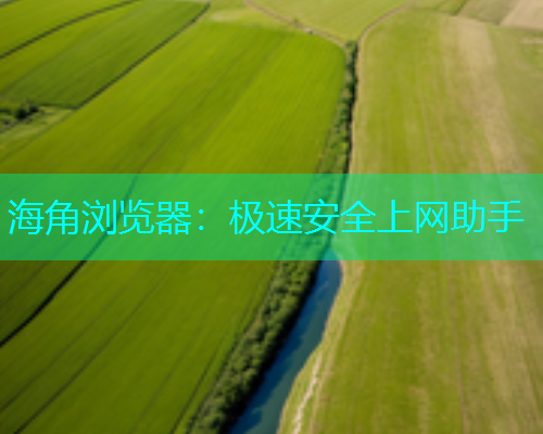 海角浏览器：极速安全上网助手  第1张