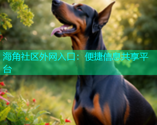 海角社区外网入口：便捷信息共享平台  第1张