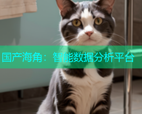 国产海角：智能数据分析平台  第1张