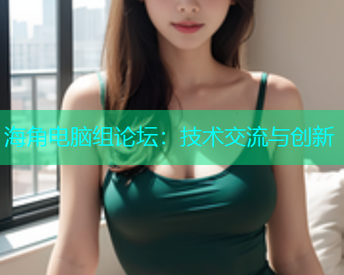 海角电脑组论坛：技术交流与创新  第1张
