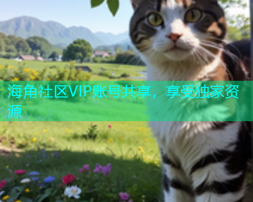 海角社区VIP账号共享，享受独家资源  第1张