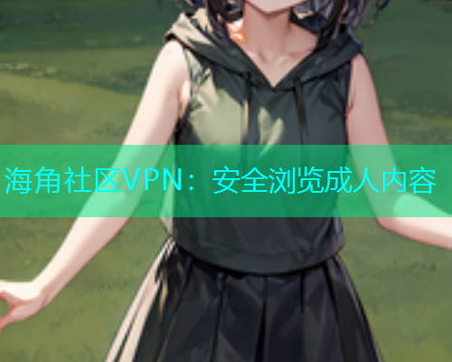 海角社区VPN：安全浏览成人内容  第1张