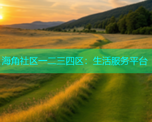 海角社区一二三四区：生活服务平台  第1张