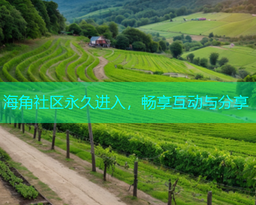 海角社区永久进入，畅享互动与分享  第2张