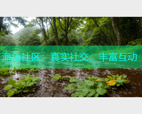 海角社区：真实社交，丰富互动  第1张