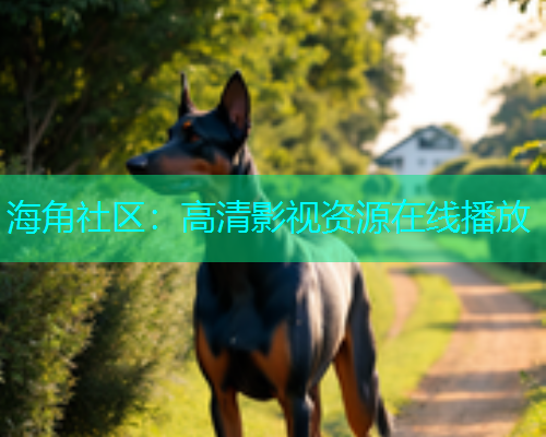 海角社区：高清影视资源在线播放  第1张