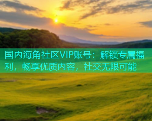 国内海角社区VIP账号：解锁专属福利，畅享优质内容，社交无限可能  第1张