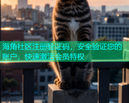 海角社区注册验证码，安全验证您的账户，快速激活会员特权  第1张