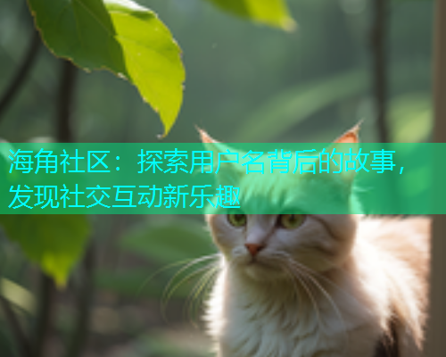 海角社区：探索用户名背后的故事，发现社交互动新乐趣  第1张
