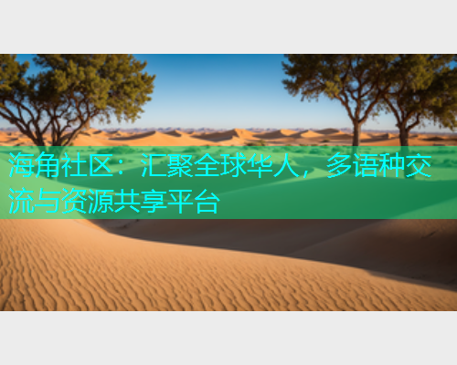 海角社区：汇聚全球华人，多语种交流与资源共享平台  第1张