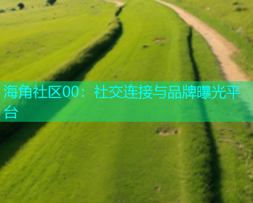 海角社区00：社交连接与品牌曝光平台  第1张