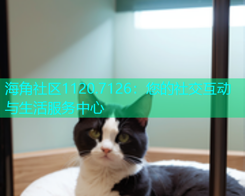 海角社区1120.7126：您的社交互动与生活服务中心  第2张