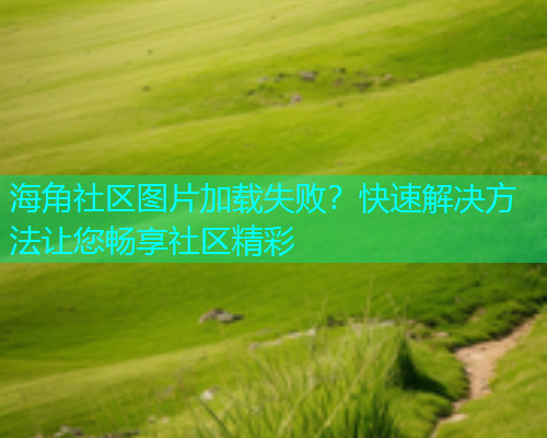 海角社区图片加载失败？快速解决方法让您畅享社区精彩  第1张