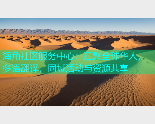 海角社区服务中心：汇聚全球华人，多语翻译，同城活动与资源共享  第1张