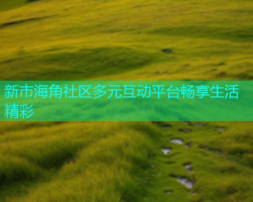 新市海角社区多元互动平台畅享生活精彩  第1张