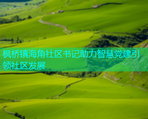 枫桥镇海角社区书记助力智慧党建引领社区发展  第2张