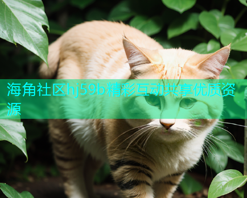 海角社区hj59b精彩互动共享优质资源  第2张