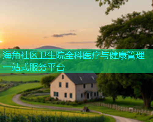 海角社区卫生院全科医疗与健康管理一站式服务平台  第2张